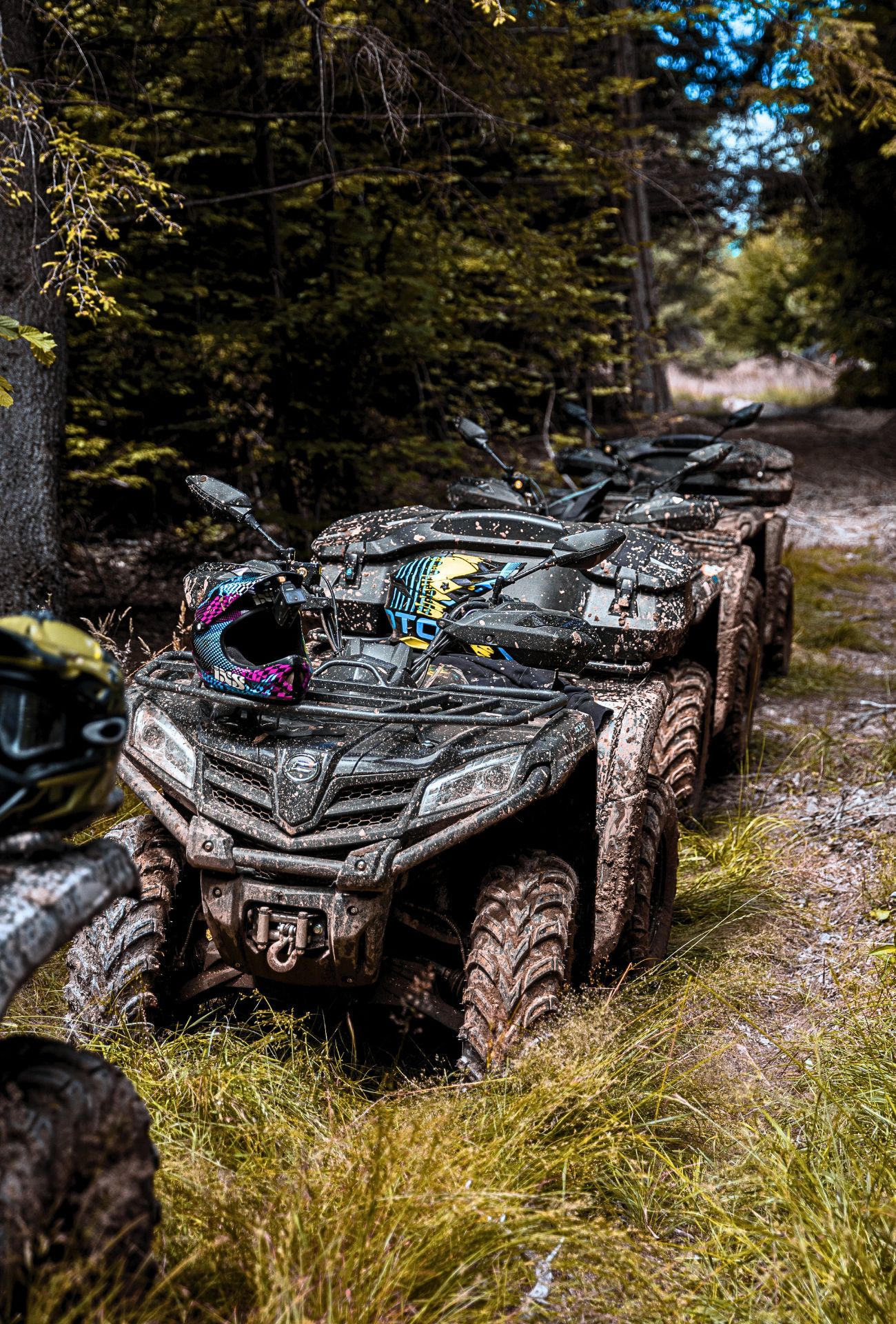 AFM Tour Group - Tururi ghidate cu ATV-ul Bran-galerie foto_9